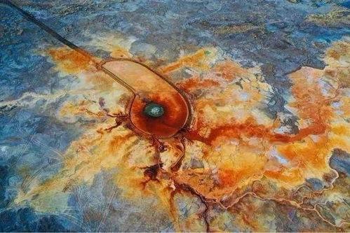 恶魔之眼网红,揭秘网红背后的神秘魅力