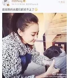 明星 养猪变大,从舞台到猪圈，探寻变大的奥秘