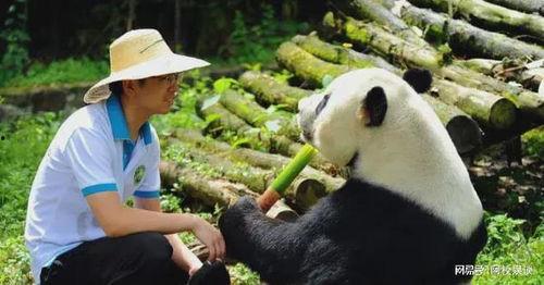 拖米吃瓜鹏鹏,揭秘电竞圈幕后故事