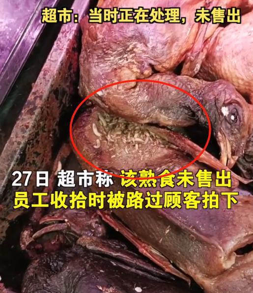 网红蛆虫爬,蛆虫爬动的网络生态解析