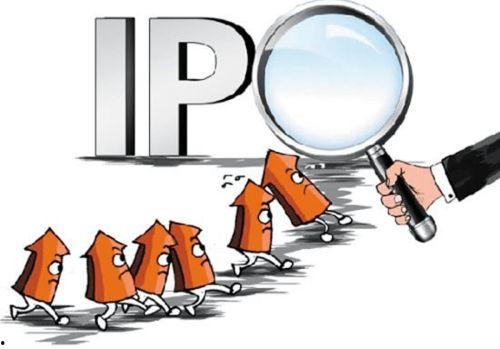 网红公司有利之处有哪些,揭秘其蓬勃发展背后的有利因素