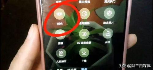 头条拍照怎么调色彩,打造个性头条照片