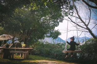 草坪网红露天酒吧,草坪网红露天酒吧的时尚夜生活体验