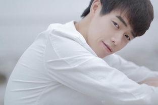 魏大勋明星英语,闪耀国际舞台的明星风采