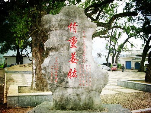 桂林潮田乡今日头条,探寻自然之美，体验乡村风情