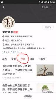 头条视频点赞最多的人,点赞破百万！揭秘全网热议的人生赢家