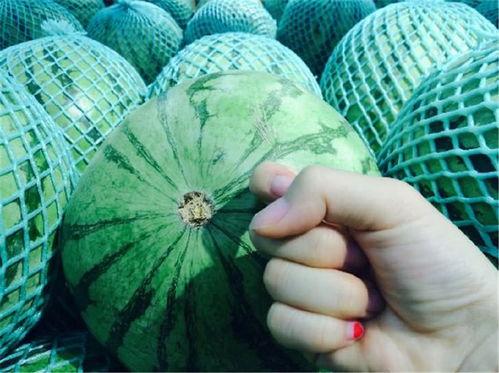 群众吃瓜仪式感,揭秘群众吃瓜仪式感的独特魅力