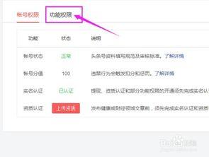 头条能否添加图片标签,图片标签助力文章副标题生成