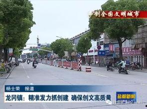 盐都区龙岗镇新闻头条,聚焦乡村振兴新篇章