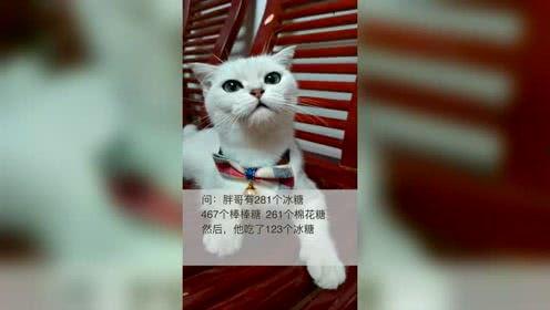 今日头条猫咪开挂秀,萌宠化身电竞高手，网络狂欢一触即发！