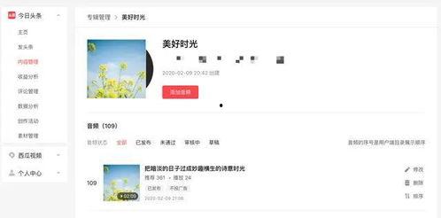 头条里的音频没有文字吗,探索头条里的声音世界