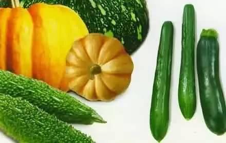 都有些什么瓜可以吃,盘点那些清凉解暑的美食瓜类