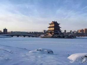 榆林今日头条雪景,银装素裹，如诗如画的美景呈现”