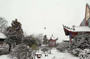 农庄网红景点芜湖有吗,芜湖农庄网红景点大盘点