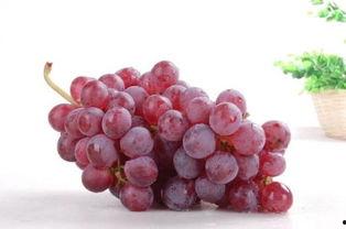 提子被爆料的新闻,娱乐圈明星隐私泄露事件引发热议