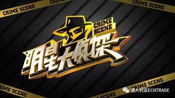 明星大侦探游戏分析,揭秘悬疑背后的明星智慧与团队协作