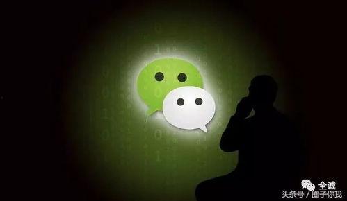 头条号都有什么圈子的,多元圈子的精彩世界