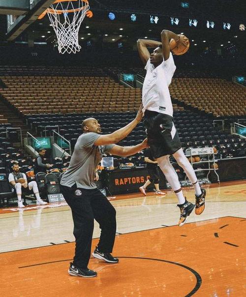 篮球明星项,传奇之路与辉煌时刻