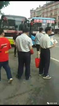 吃瓜群众围观亲吻视频,激情瞬间！吃瓜群众围观亲吻视频引发热议