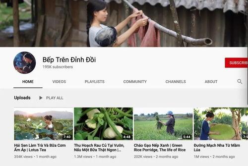 越南网红拼接视频下载,揭秘热门短视频背后的魅力