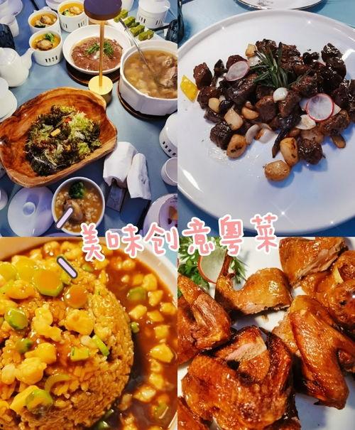 网红打卡下午茶音乐下载,音乐旋律唤醒美好时光