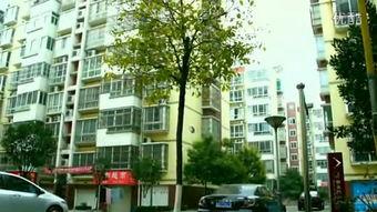 平顶山市头条小区,宜居典范，品质生活新地标”