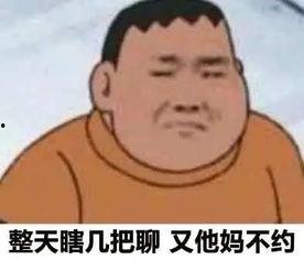 胖虎头条,揭秘网红胖虎的爆红之路与生活点滴