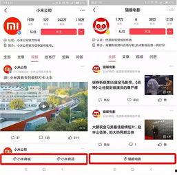 在头条怎么添加小程序,一键生成，开启便捷互动新体验