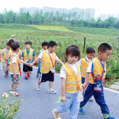 幼儿园打卡网红地方,网红地盘点之旅
