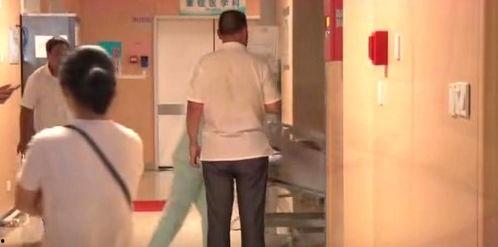 贤宝宝看网红视频,贤宝宝揭秘网红视频背后的秘密