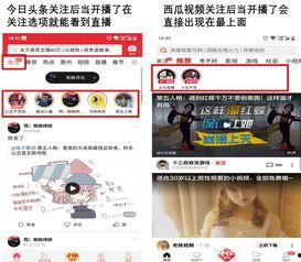 头条关注的直播哪里看到,揭秘热门直播背后的精彩瞬间