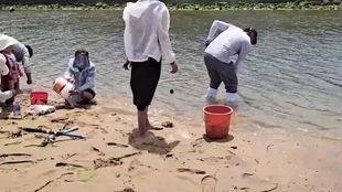 网红赶海铁锹怎么用,轻松挖掘海洋宝藏