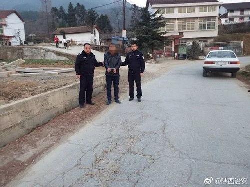 今日头条汉中勉县偷沙子,非法采挖引发社会关注