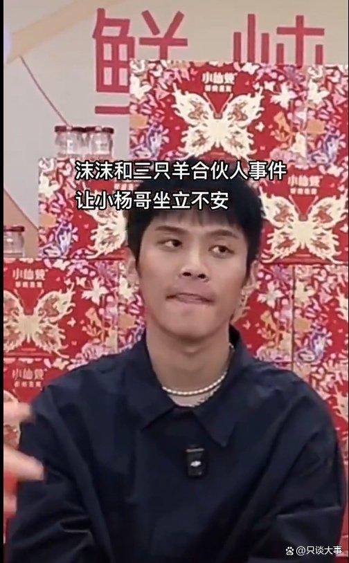 辛巴爆料三只羊视频,三只羊背后的惊人真相