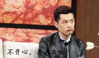 胡歌吃瓜群众,吃瓜群众眼中的娱乐圈风云人物
