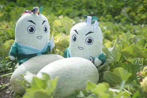 瓜哥带你吃瓜野生雪人,探寻神秘生物的神秘面纱