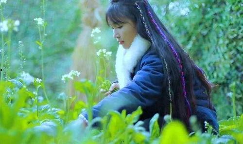 李子柒深圳头条号,田园生活美学在都市的绽放