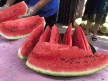 白鹿吃瓜的图片大全,萌态十足，盘点那些可爱至极的萌宠瞬间