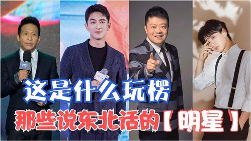明星的东北话,方言中的星光熠熠