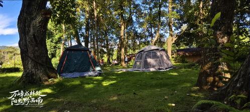 今日头条露营基地,今日头条露营基地带你体验户外休闲新风尚