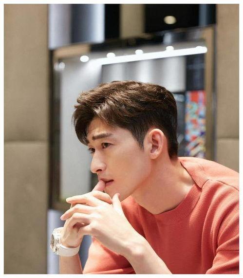 爆料娱乐圈张翰是谁,揭秘张翰的真实身份