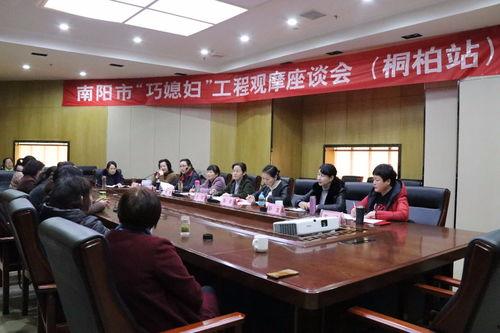 今年桐柏县新闻头条,聚焦乡村振兴战略，共绘美好乡村新画卷