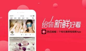 头条原创正能量视频,点亮生活希望——头条原创正能量视频集锦