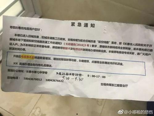 吉视传媒最新爆料,揭秘行业背后惊人内幕！