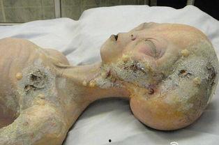 51区内部爆料外星人,外星人生存之谜曝光