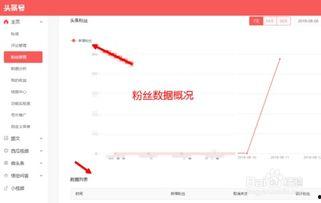 头条号如何查看用户信息,轻松掌握个人资料