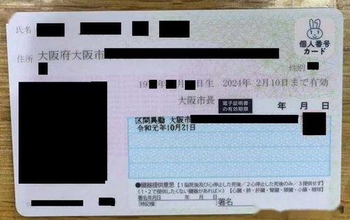 番号在线观看网站