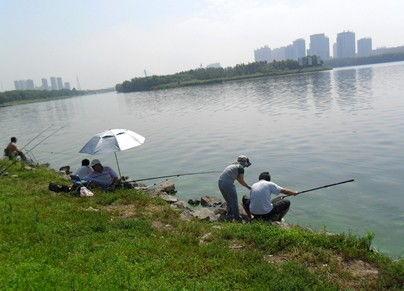 在家钓鱼怎么上头条号,在家轻松上头条，钓鱼技巧大揭秘