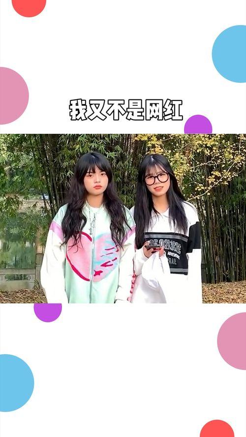 我也不是网红