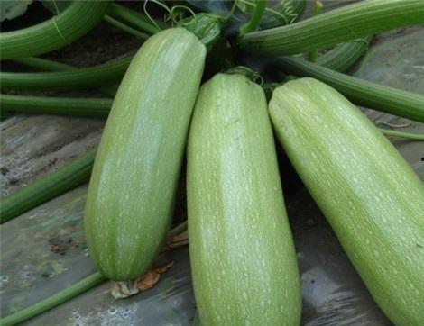 吃瓜情报处保真吗,揭秘娱乐圈幕后真相